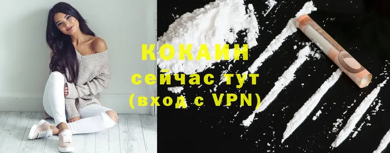 COCAIN Эквадор Ершов